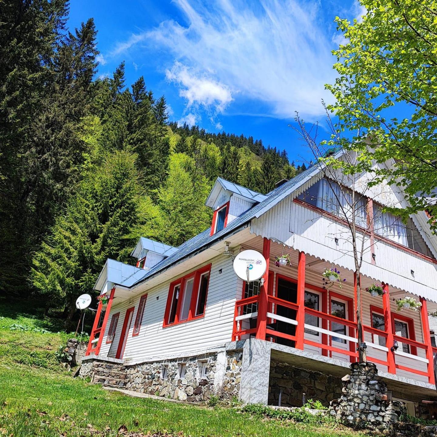 Dara Lodge